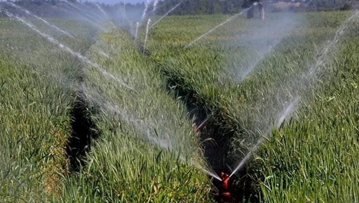 Tarımda su kullanımının azaltılması için uzmanından tasarruf önerileri