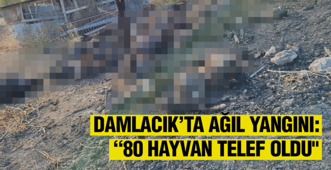 DAMLACIK’TA AĞIL YANGINI: “80 HAYVAN TELEF OLDU”