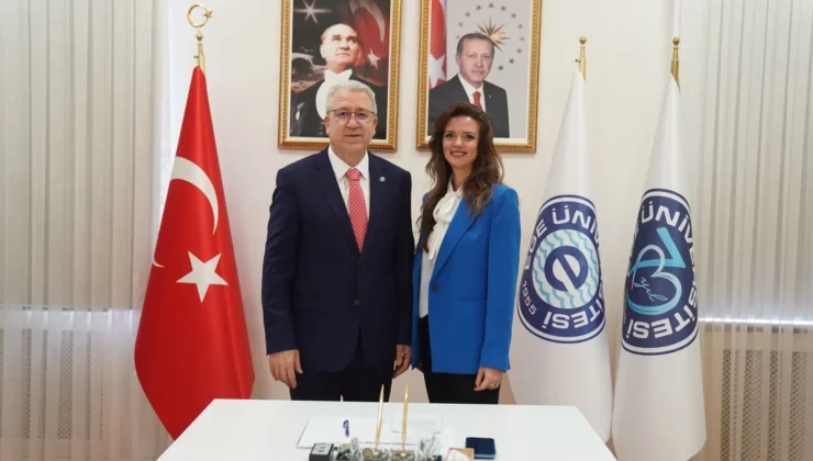 Bu proje ile öğrencilerin istatistiksel kaygı düzeyleri azaltılacak