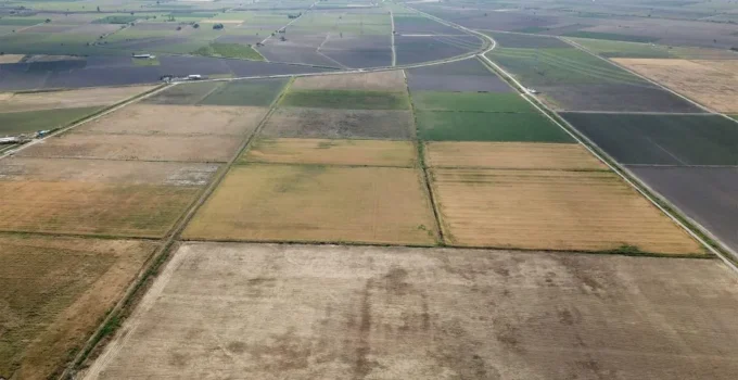 Basın Bülteni //Kınık TDİOSB: Türkiye’de İlk, Dünyada Tek Kınık // TDİOSB Başkanı Enver Olgunsoy: “Aromatik bitkilerin merkezi İzmir olacak”