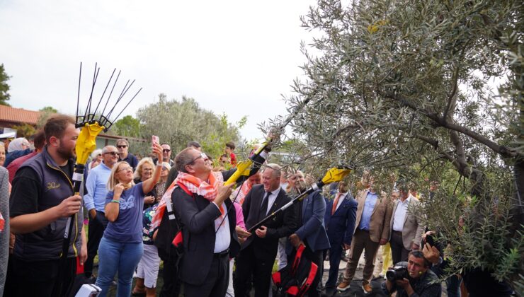 MESUT ERGİN;AYVALIK ZEYTİNYAĞI MARKA DEĞERİ EN YÜKSEK OLAN ÜRÜN